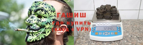 прущие грибы Аркадак