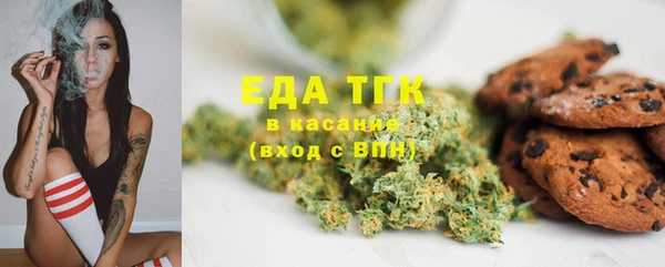 гашик Арсеньев