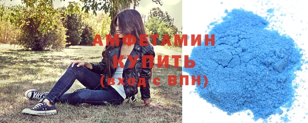 прущие грибы Аркадак