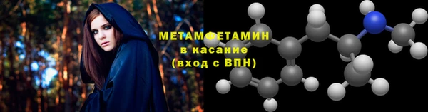 прущие грибы Аркадак