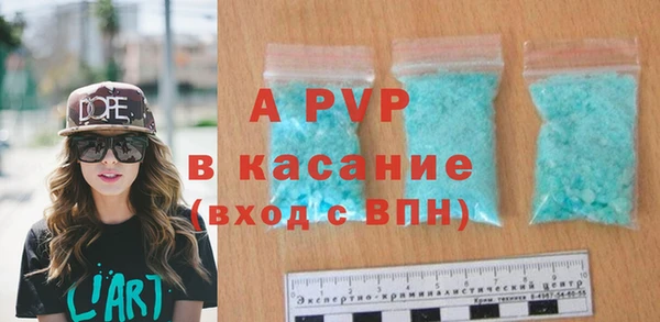 гашик Арсеньев