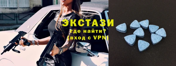 прущие грибы Аркадак
