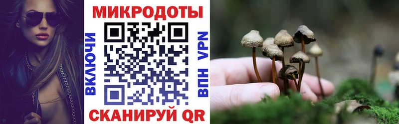 Псилоцибиновые грибы GOLDEN TEACHER  Сибай 
